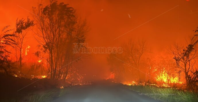 Incendi a Vibo Marina, la Pro Loco: «La collina è vita da salvaguardare»