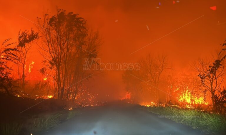 Incendi a Vibo Marina, la Pro Loco: «La collina è vita da salvaguardare»