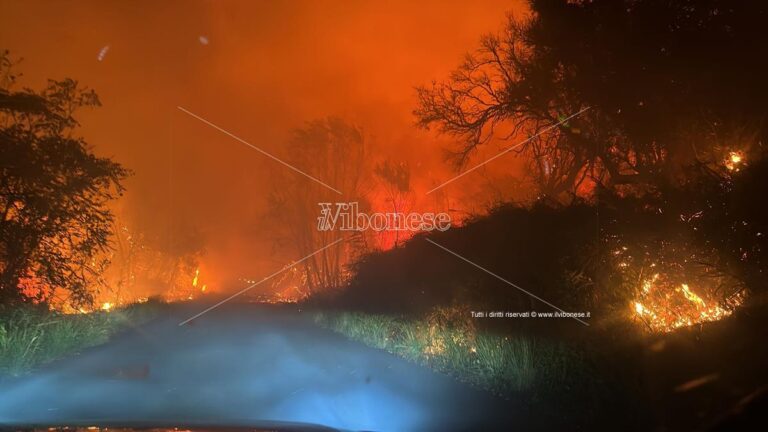 Incendi tra Vibo e Pizzo: situazione critica e strade chiuse, le fiamme minacciano le abitazioni