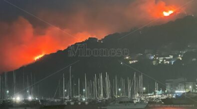 Incendi a Vibo, Mileto e Ionadi, le fiamme minacciano diverse abitazioni – Foto/Video