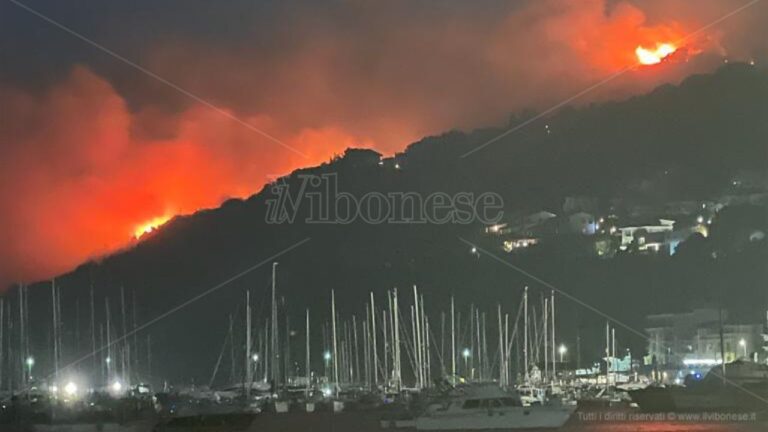Incendi a Vibo, Mileto e Ionadi, le fiamme minacciano diverse abitazioni – Foto/Video