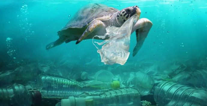 Anche a Pizzo e Tropea volontari Plastic Free in azione per l’evento nazionale “Sea & Rivers”