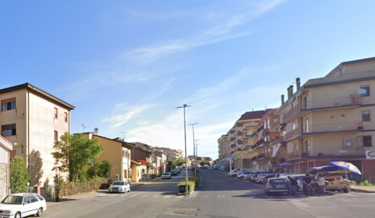 Vibo, Italia Nostra interviene sulla gestione del verde urbano