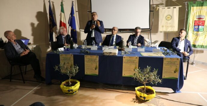 Caria, successo per il convegno del Rotary sulle strade dell’olio in Calabria – Video