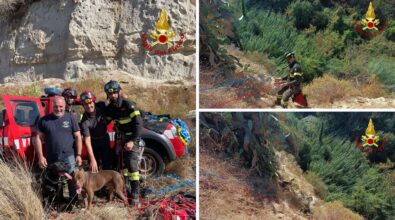 Ricadi, due cani precipitano in un burrone: salvati dai vigili del fuoco