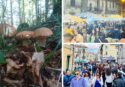 Serra riparte dalla Pro Loco: nuovo Consiglio direttivo, tante idee e due grandi eventi già in calendario per celebrare il territorio. I dettagli