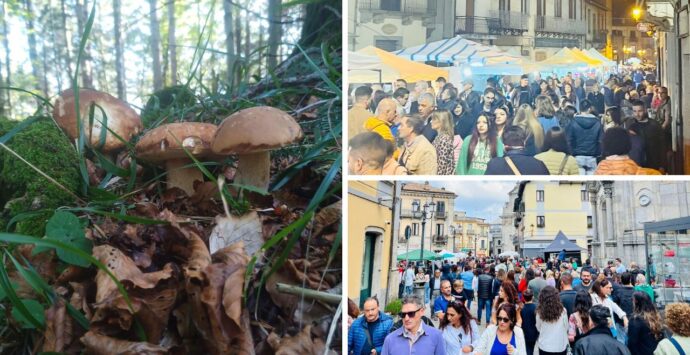 Serra San Bruno, la Festa del fungo riscuote consensi: si replica nel fine settimana