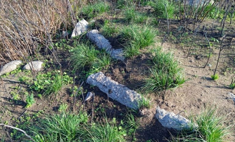 Tracce di storia a Zambrone, antiche colonne rinvenute durante una escursione