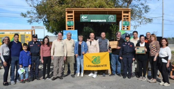 Ricadi, i piccoli studenti protagonisti della Festa dell’albero a Santa Domenica