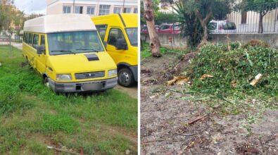 Topi nella scuola primaria di Tropea, le famiglie: «Si intervenga a tutela dei bambini» – Foto