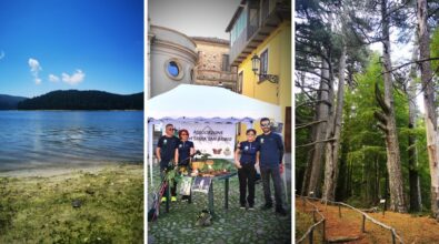 Trekking, “Vivi Serra San Bruno” alla scoperta dei “giganti” della Sila