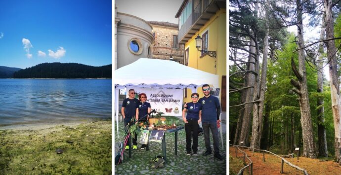 Trekking, “Vivi Serra San Bruno” alla scoperta dei “giganti” della Sila