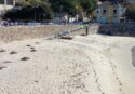Spiagge di Pizzo: a lezione di tedesco e di svedese per contrastare… l’inciviltà