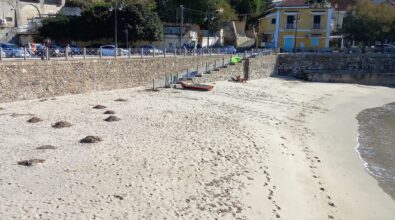 Spiagge di Pizzo: a lezione di tedesco e di svedese per contrastare… l’inciviltà