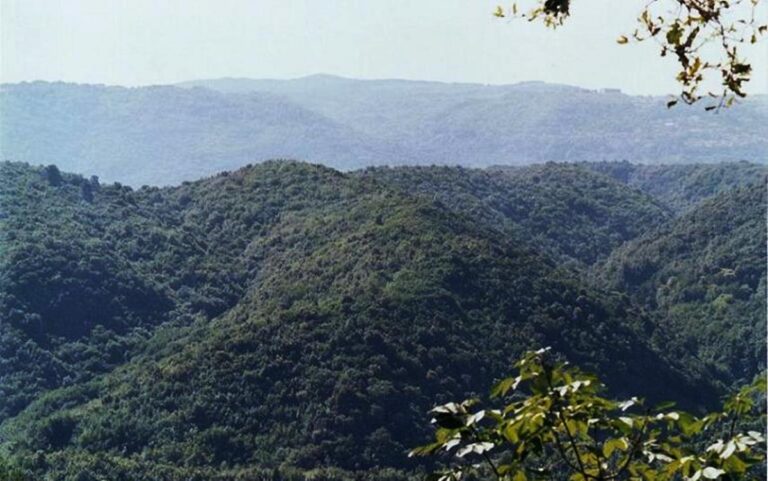 L’inchiesta | Comunità montana dell’Alto Mesima-Monte Poro verso il tramonto tra montagna vera e finta