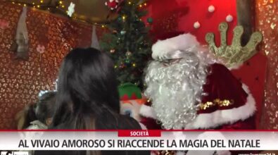 Al vivaio Amoroso di Vibo Valentia si riaccende la magia del Natale – Video