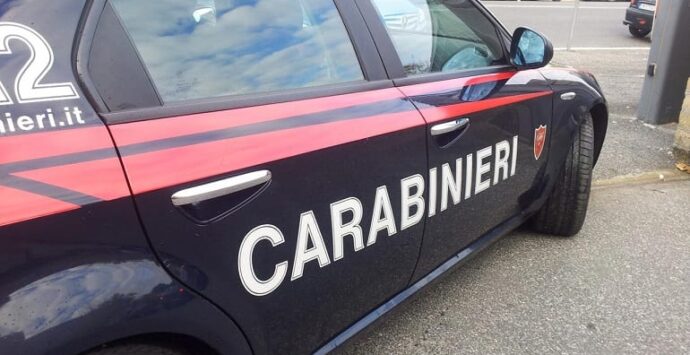 Cessaniti, tenta di uccidere la compagna con una motosega: blitz dei carabinieri all’ultimo secondo