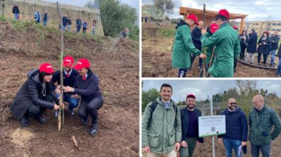 “Bosco Diffuso Despar”, piantati 200 alberi nel giardino dell’istituto agrario vibonese