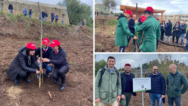 “Bosco Diffuso Despar”, piantati 200 alberi nel giardino dell’istituto agrario vibonese