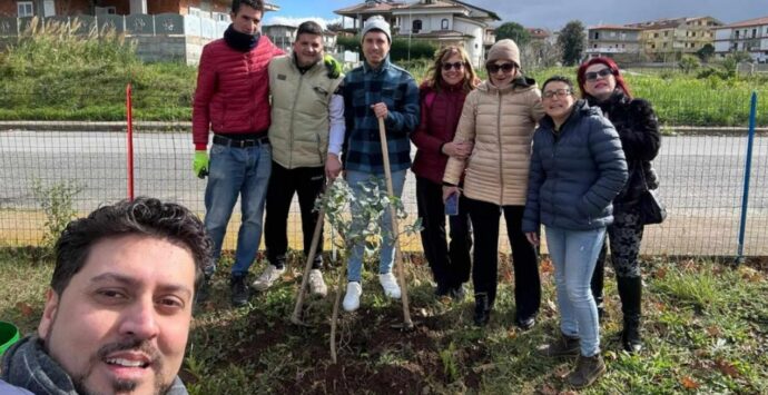 Festa dell’albero, a Vena di Ionadi il M5S di Vibo mette a dimora sette piantine