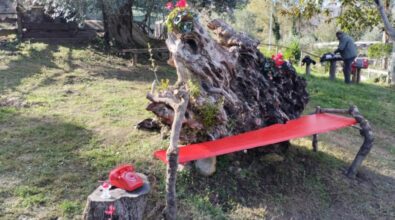 Vibo, “La goccia” inaugura la panchina rossa dedicata alle vittime di violenza