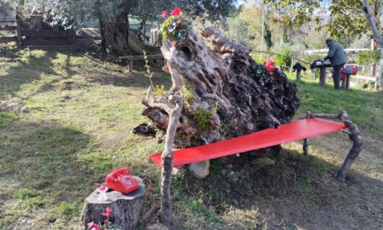 Vibo, “La goccia” inaugura la panchina rossa dedicata alle vittime di violenza