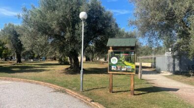 Vibo, nel Parco urbano nasce un punto di informazione e accoglienza