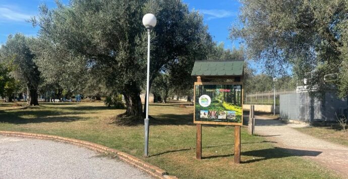 Vibo, il parco urbano pronto a trasformarsi in un villaggio dello sport e del benessere