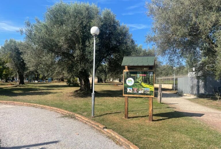 Parco urbano a Vibo: in gara i progetti per campi giochi e aree sportive