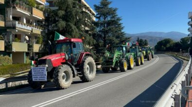 Costi insostenibili e niente aiuti, gli agricoltori calabresi in protesta – Video