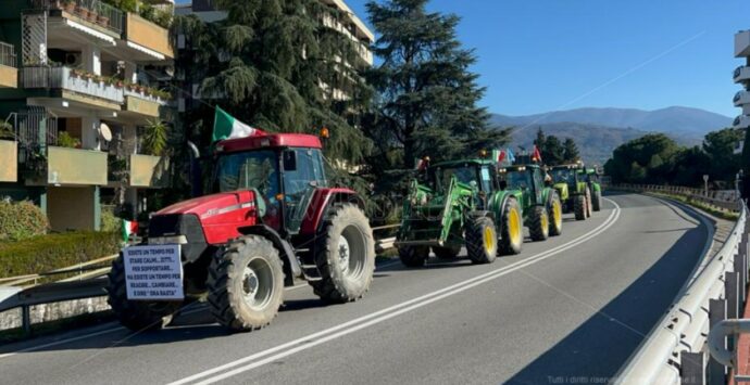 Costi insostenibili e niente aiuti, gli agricoltori calabresi in protesta – Video