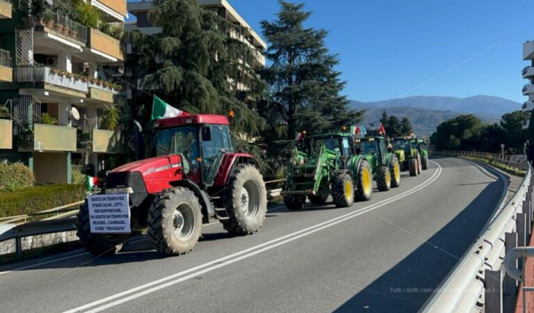 Costi insostenibili e niente aiuti, gli agricoltori calabresi in protesta – Video