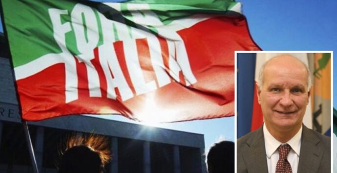 Forza Italia Vibo, nuovi ingressi nel coordinamento provinciale: ci sono anche 12 sindaci