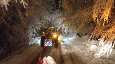 Neve e ghiaccio in Calabria, squadre Anas al lavoro anche lungo le strade montane del Vibonese – Video