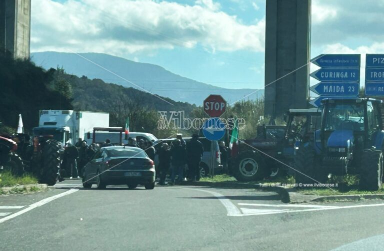 Agricoltori in protesta, la Lega allo svincolo di Pizzo: «Vicinanza e solidarietà»