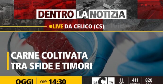 Carne coltivata, il dibattito approda a Dentro la notizia