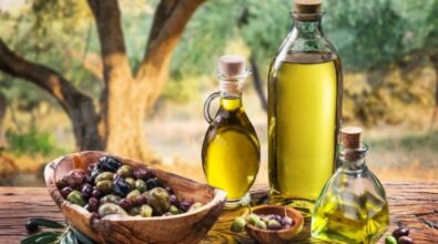 Tutto pronto a Ricadi per la sperimentazione dell’olioturismo: visite guidate, seminari e degustazioni all’insegna dell’oro verde vibonese