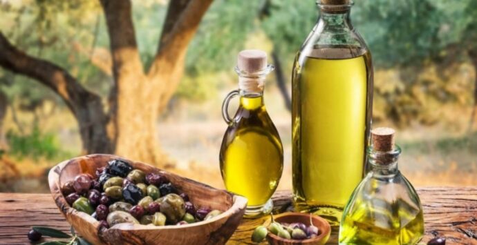 Olio d’oliva, a San Gregorio un corso per responsabile esperto di frantoio