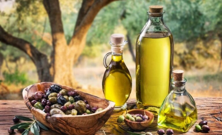 Olio d’oliva, a San Gregorio un corso per responsabile esperto di frantoio