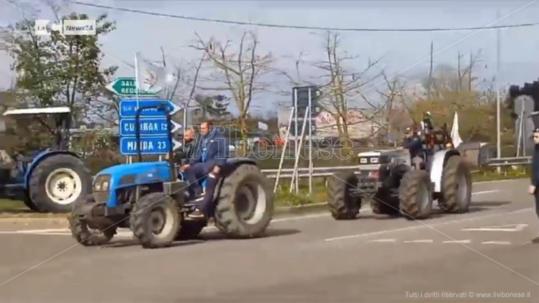 Trattori allo svincolo di Pizzo, diversi sindaci del Vibonese accanto ai manifestanti – Video