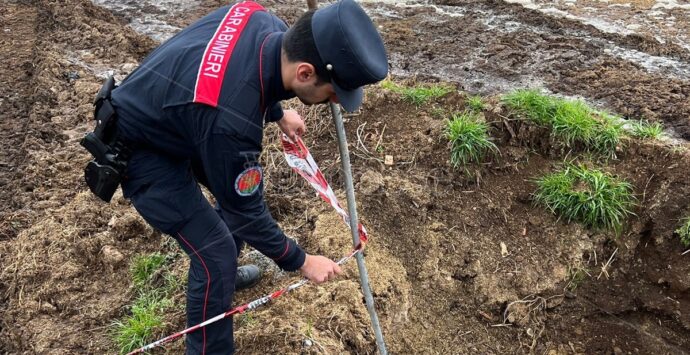 Operazione “Black Water” a Vibo Valentia, denunciati allevatori per reati ambientali