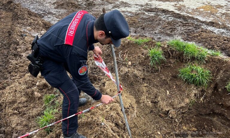 Operazione “Black Water” a Vibo Valentia, denunciati allevatori per reati ambientali