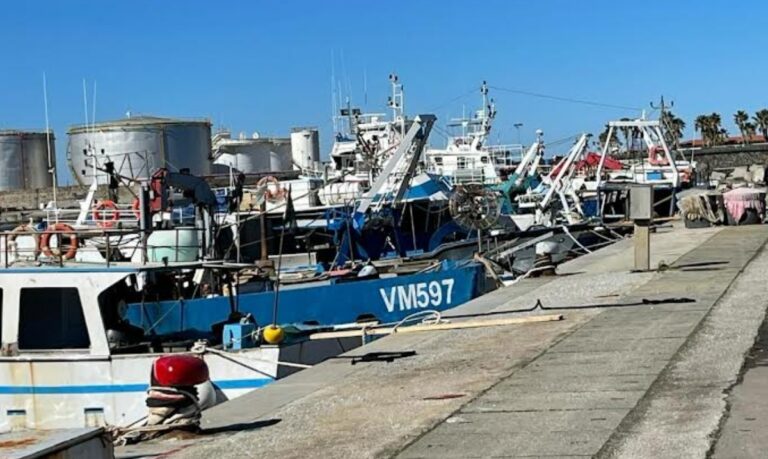 Vibo Marina, pescatori in protesta: «Le politiche Ue favoriscono le importazioni»