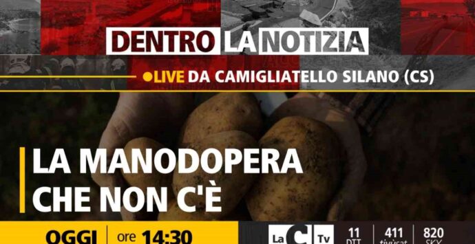 Agricoltura, la manodopera che non c’è: approfondimento a Dentro la notizia