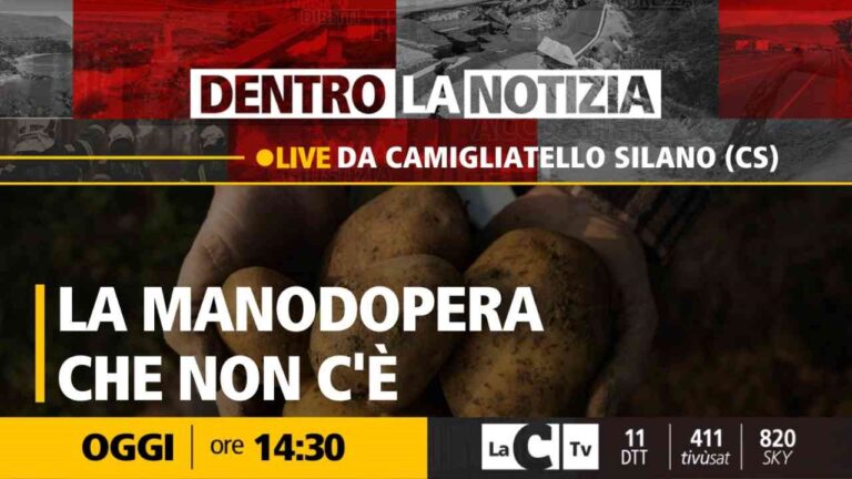 Agricoltura, la manodopera che non c’è: approfondimento a Dentro la notizia