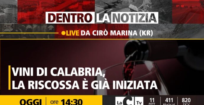 Vini di Calabria, approfondimento a Dentro la notizia