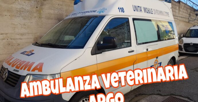 Lotta al randagismo, l’Asp Vibo dona un’ambulanza dismessa all’associazione “Argo”