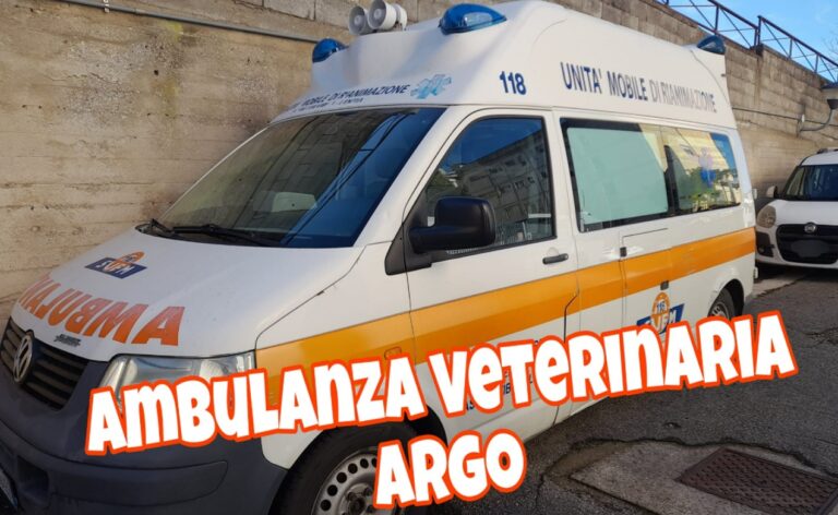 Lotta al randagismo, l’Asp Vibo dona un’ambulanza dismessa all’associazione “Argo”