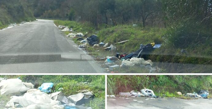 Strade vibonesi invase dai rifiuti, gli utenti: «Basta degrado» – Video