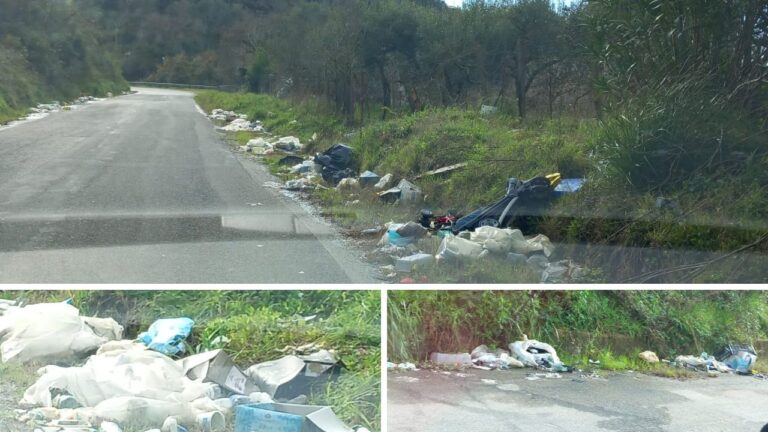 Strade vibonesi invase dai rifiuti, gli utenti: «Basta degrado» – Video